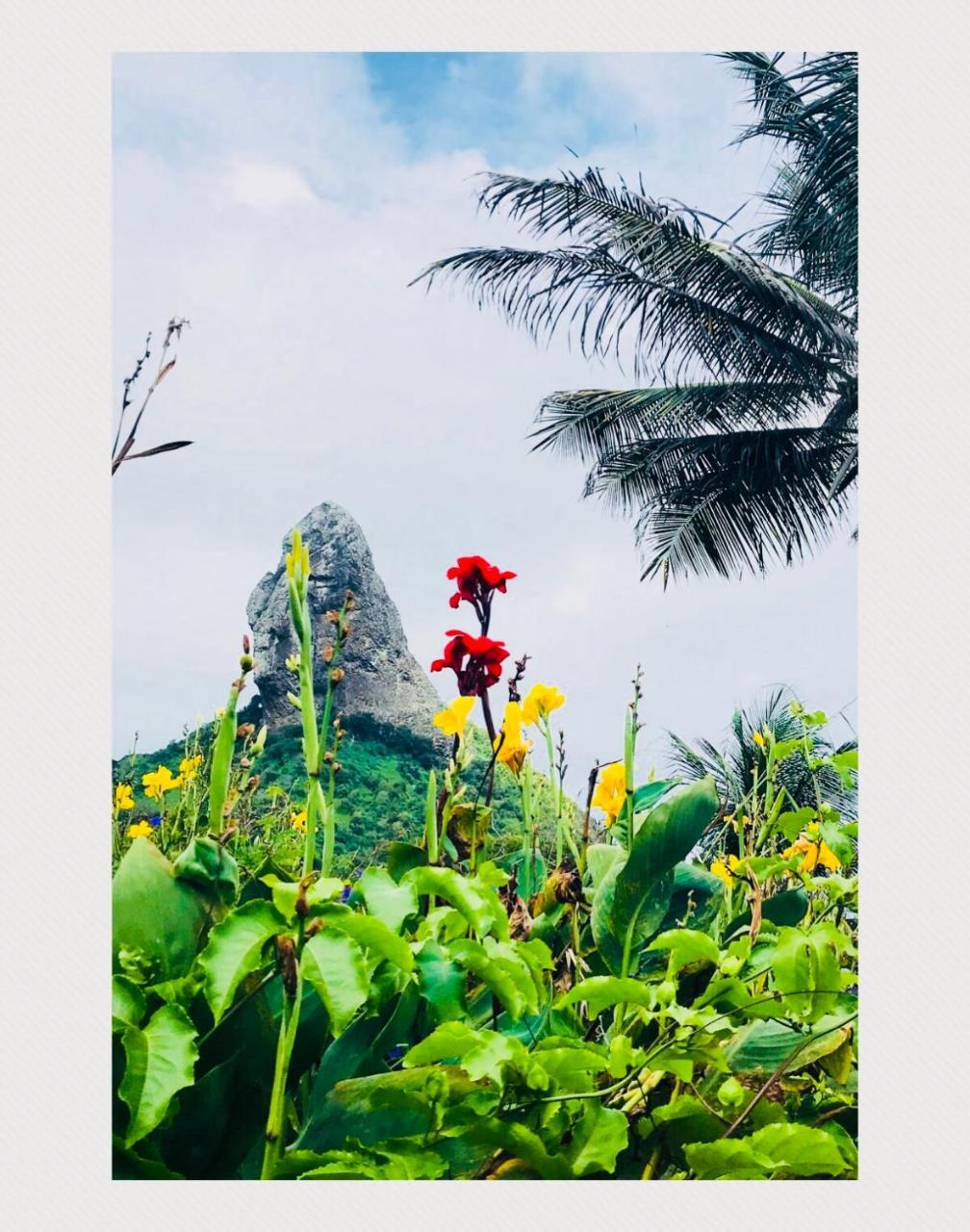 פרננדו דה נורונהה Pousada Morro Do Pico מראה חיצוני תמונה